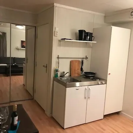 Апартаменты Leilighet I Hamar Sentrum Хамар